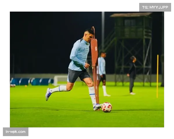 申花米内罗伤愈跟队训练 斯卢茨基锋线选择增加灵活性